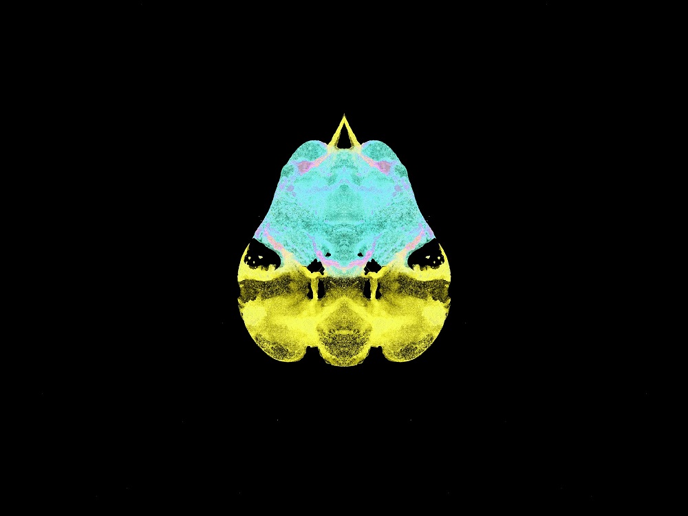 f p RMX #207