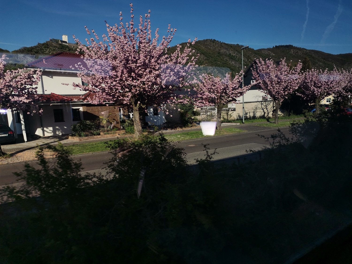 …Kirschblüte :-)