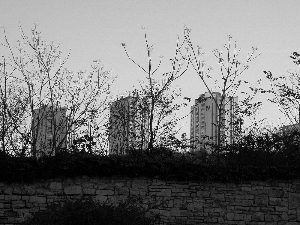 3 behind the wall