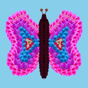 Dieses Bild von Thorsten Hülsberg zeigt auf einem Hintergrund in Sky Blue einen Schmetterling komplett aus Blüten.