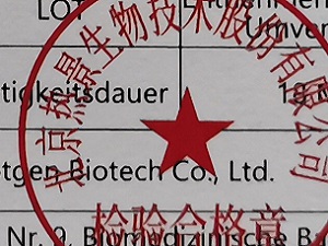 Dieser Farbfotoausschnitt von Thorsten Hülsberg zeigt einen Teil eines Beipackzettels eines Coronatests.